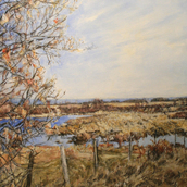 Early Spring (AC-001-10)