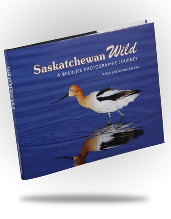 Saskatchewan Wild - Image 1