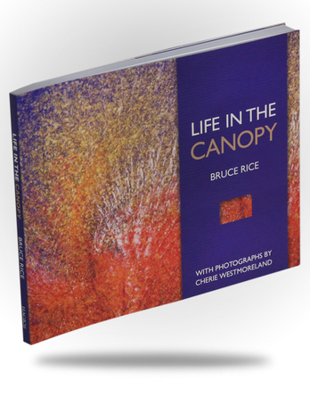 Life in the Canopy - Image 1