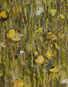 Wildflowers - Image 3